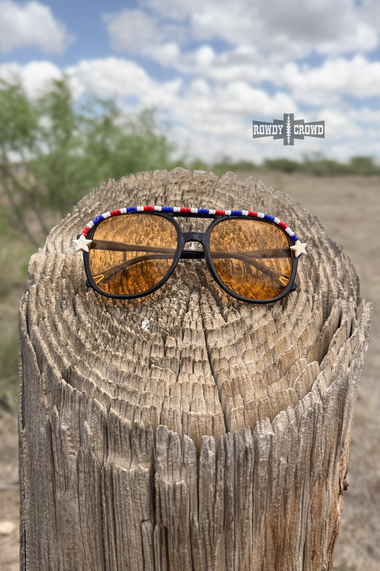 Sunny in '76 Sunglasses