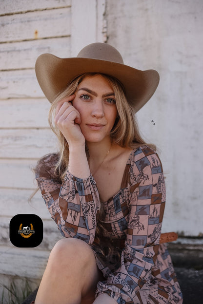 Coastal Cowgirl Dress | Western Check Print Cowgirl Mesh Dress