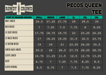 Load image into Gallery viewer, Pecos Queen Tee
