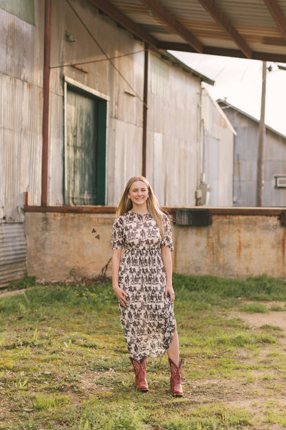 Wanderer Dress | Western Cowboy Print Cowgirl Mesh Maxi Dress