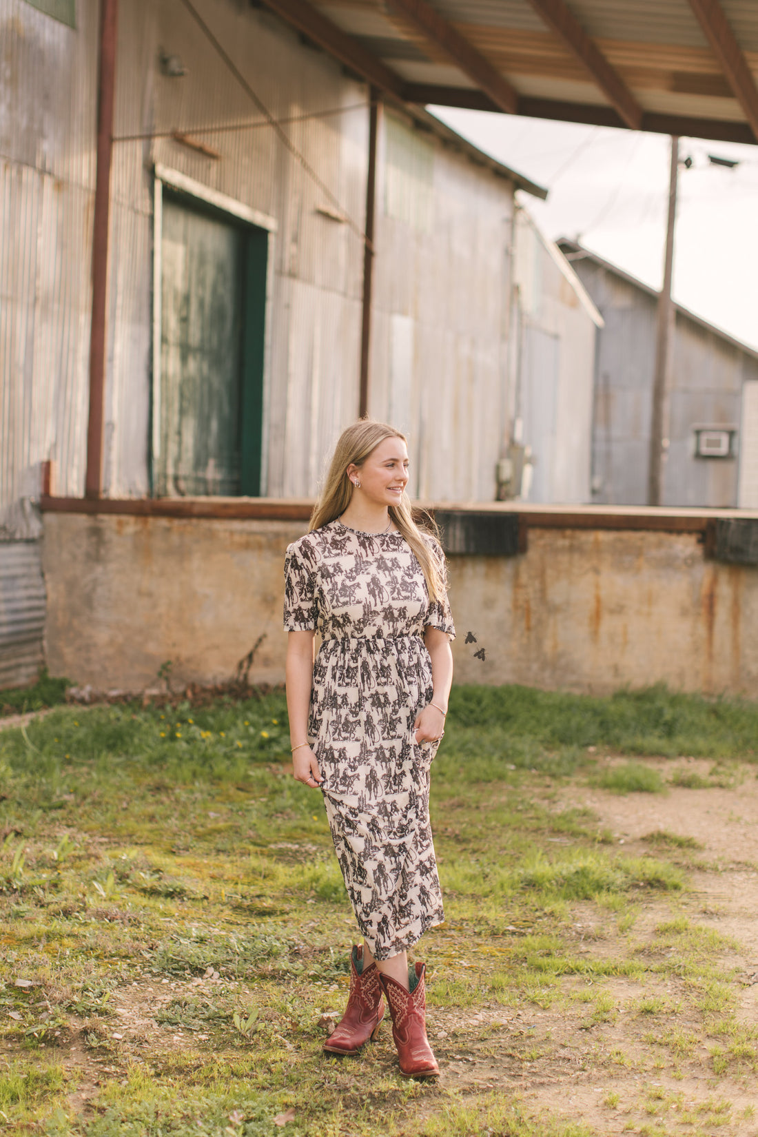 Wanderer Dress | Western Cowboy Print Cowgirl Mesh Maxi Dress
