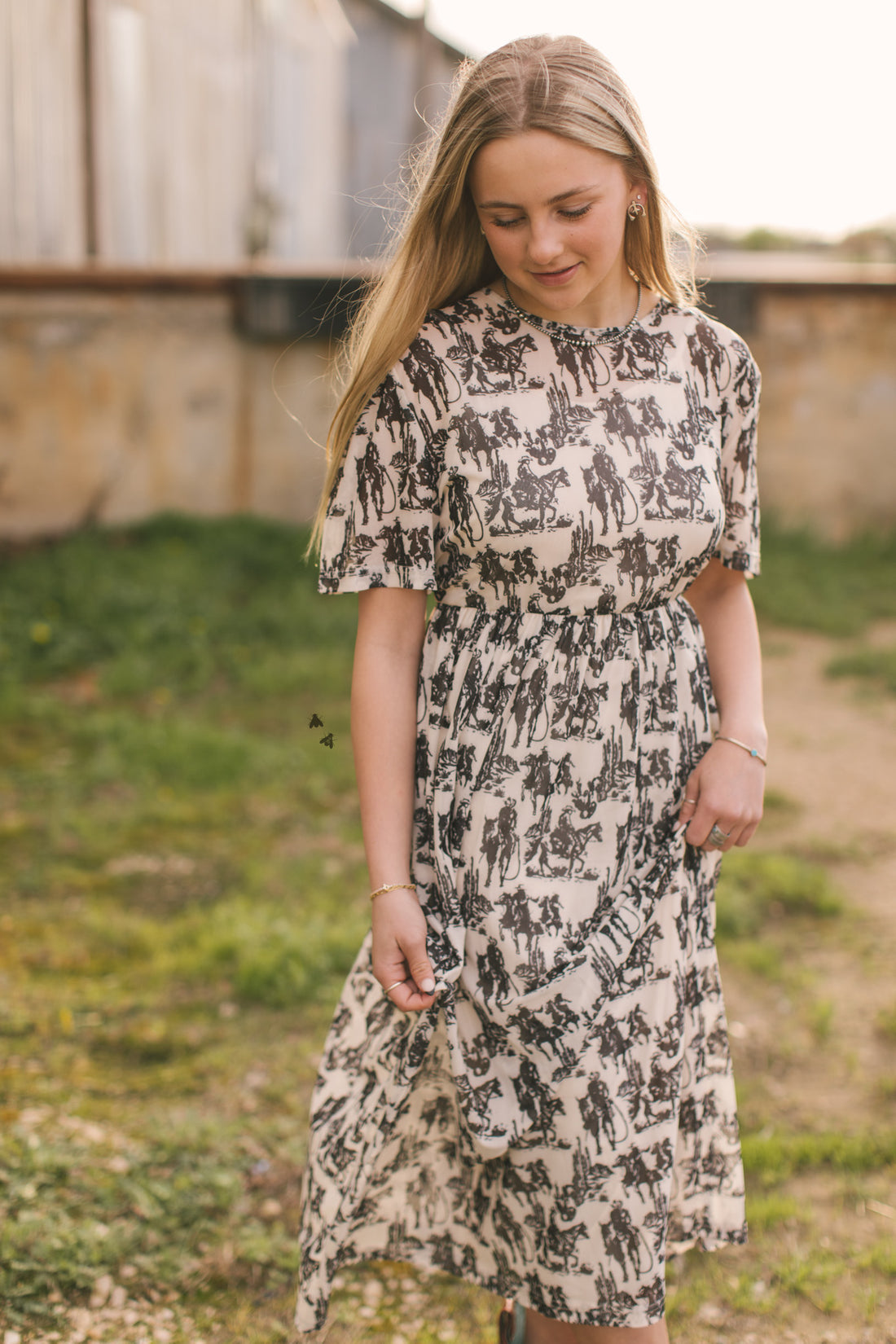 Wanderer Dress | Western Cowboy Print Cowgirl Mesh Maxi Dress