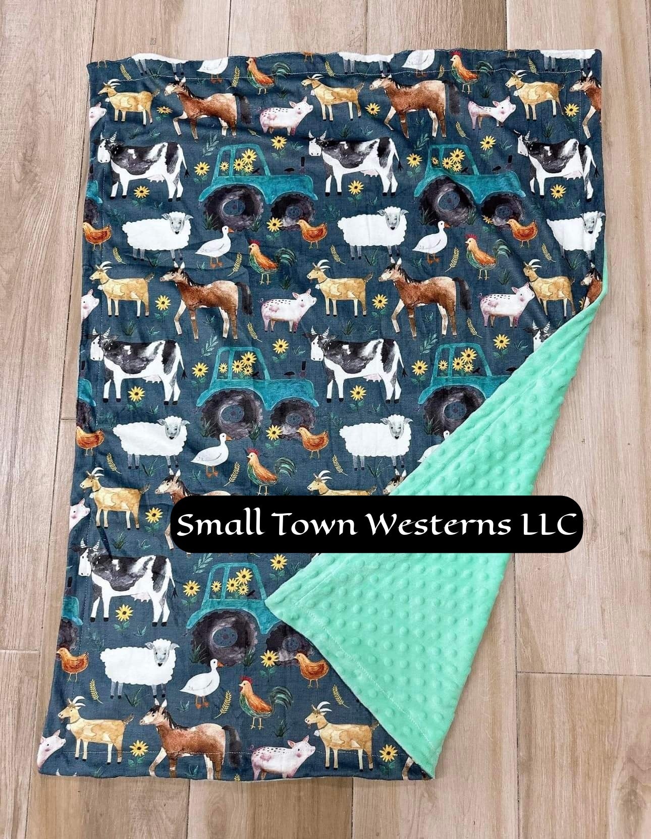 Kids Minky Blankets